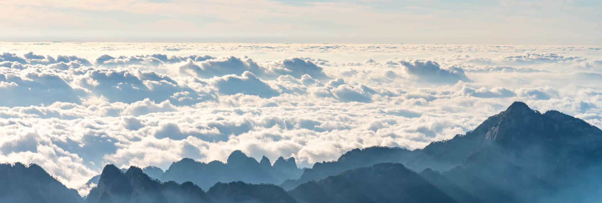 星空（中国）官方简介